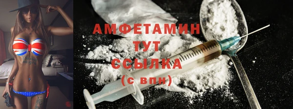 ECSTASY Горняк
