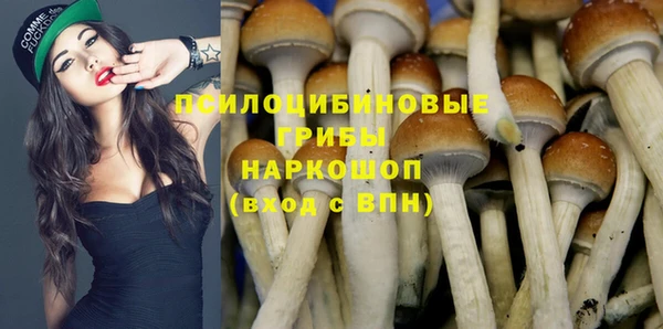 кокс Вяземский